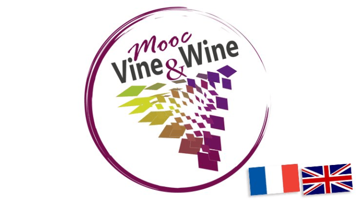 mooc